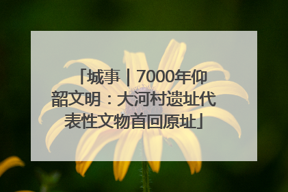城事｜7000年仰韶文明：大河村遗址代表性文物首回原址