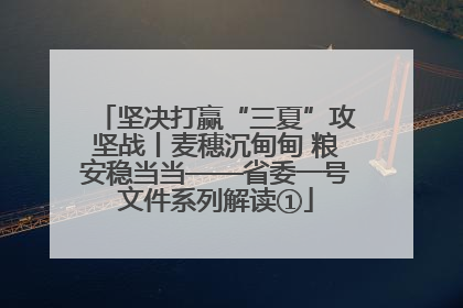 坚决打赢“三夏”攻坚战丨麦穗沉甸甸 粮安稳当当——省委一号文件系列解读①