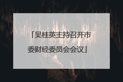 吴桂英主持召开市委财经委员会会议