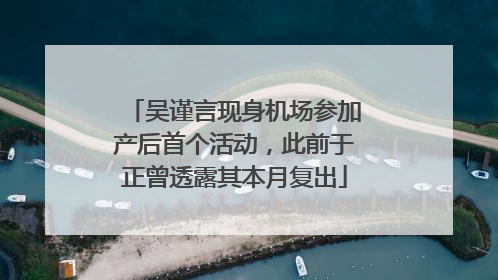 吴谨言现身机场参加产后首个活动，此前于正曾透露其本月复出