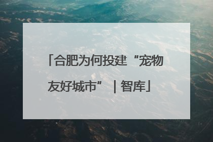 合肥为何投建“宠物友好城市”｜智库