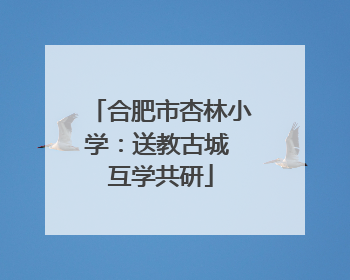 合肥市杏林小学：送教古城 互学共研