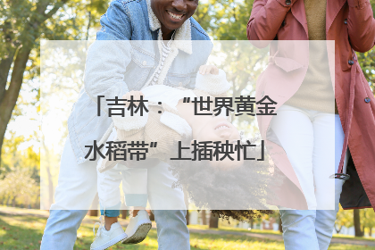 吉林：“世界黄金水稻带”上插秧忙