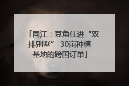 同江：豆角住进“双排别墅” 30亩种植基地的跨国订单