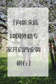 向新求质 10国外籍专家开启西安调研行