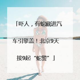 吓人，有蛇藏进汽车引擎盖！北京9天接9起“蛇警”