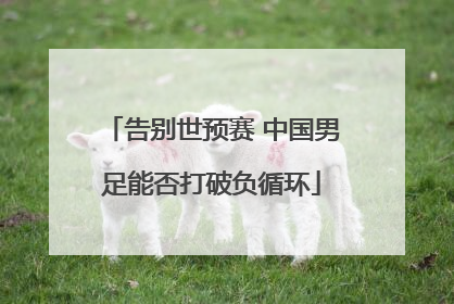 告别世预赛 中国男足能否打破负循环