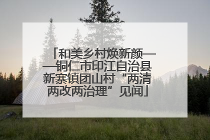 和美乡村焕新颜——铜仁市印江自治县新寨镇团山村“两清两改两治理”见闻