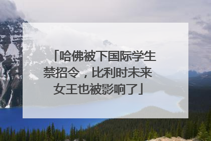 哈佛被下国际学生禁招令，比利时未来女王也被影响了