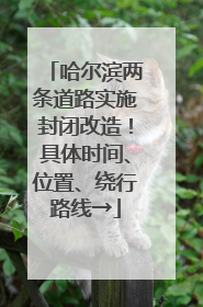 哈尔滨两条道路实施封闭改造！具体时间、位置、绕行路线→