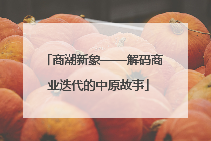 商潮新象——解码商业迭代的中原故事