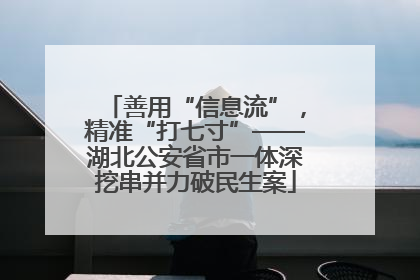 善用“信息流”，精准“打七寸”——湖北公安省市一体深挖串并力破民生案