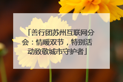 善行团苏州互联网分会：情暖双节，特别活动致敬城市守护者