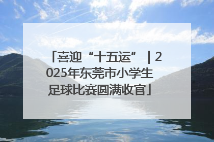 喜迎“十五运”｜2025年东莞市小学生足球比赛圆满收官