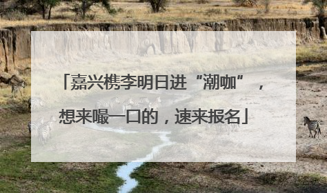 嘉兴槜李明日进“潮咖”，想来嘬一口的，速来报名