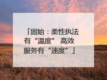 固始：柔性执法有“温度” 高效服务有“速度”