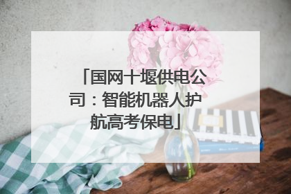 国网十堰供电公司：智能机器人护航高考保电
