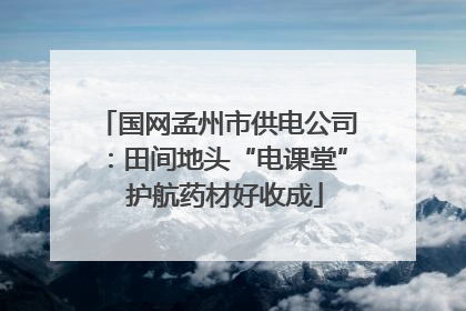 国网孟州市供电公司：田间地头“电课堂”  护航药材好收成