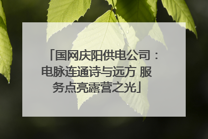 国网庆阳供电公司：电脉连通诗与远方 服务点亮露营之光
