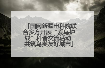 国网新疆电科院联合多方开展“爱鸟护线”科普交流活动 共筑鸟类友好城市