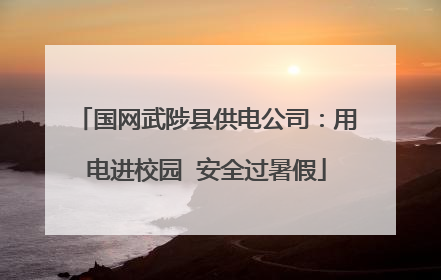 国网武陟县供电公司：用电进校园  安全过暑假