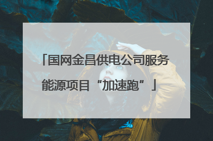 国网金昌供电公司服务能源项目“加速跑”