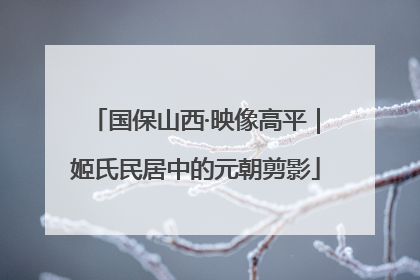 国保山西·映像高平｜姬氏民居中的元朝剪影