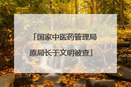 国家中医药管理局原局长于文明被查