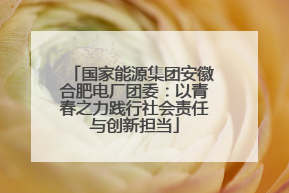 国家能源集团安徽合肥电厂团委：以青春之力践行社会责任与创新担当