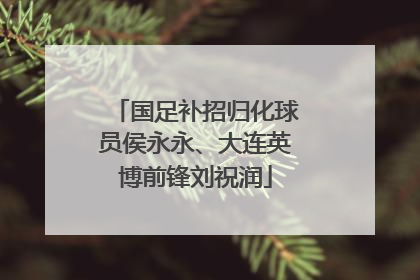 国足补招归化球员侯永永、大连英博前锋刘祝润