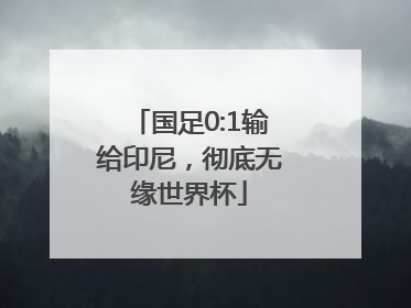 国足0:1输给印尼，彻底无缘世界杯