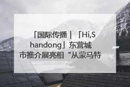 国际传播｜「Hi,Shandong」东营城市推介展亮相“从蒙马特到加里波第”文化节