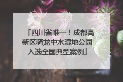 四川省唯一！成都高新区骑龙中水湿地公园入选全国典型案例