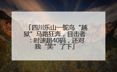 四川乐山一鸵鸟“越狱”马路狂奔，目击者：时速超40码，还对我“笑”了下