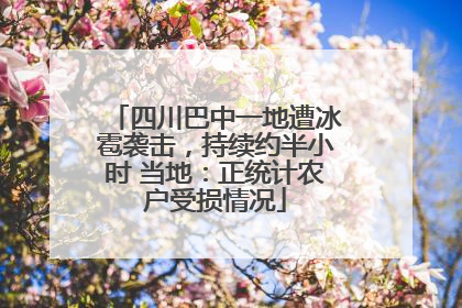 四川巴中一地遭冰雹袭击，持续约半小时 当地：正统计农户受损情况