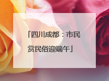 四川成都：市民赏民俗迎端午