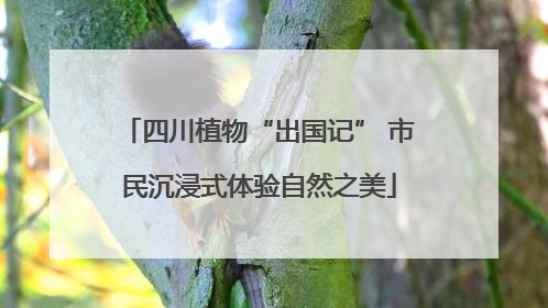 四川植物“出国记” 市民沉浸式体验自然之美