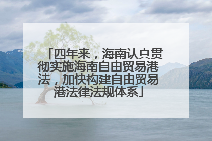 四年来，海南认真贯彻实施海南自由贸易港法，加快构建自由贸易港法律法规体系