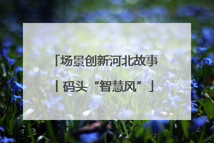 场景创新河北故事丨码头“智慧风”