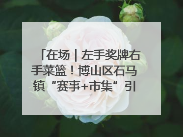 在场｜左手奖牌右手菜篮！博山区石马镇“赛事+市集”引燃周末经济