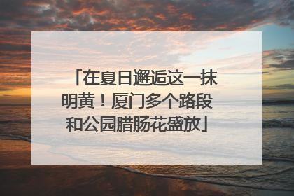 在夏日邂逅这一抹明黄！厦门多个路段和公园腊肠花盛放