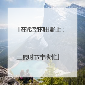 在希望的田野上：三夏时节丰收忙