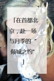 在首都北京，赴一场与月季的“倾城之约”
