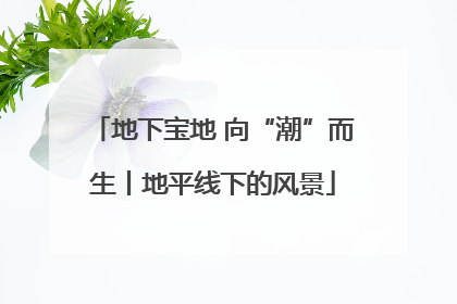 地下宝地 向“潮”而生丨地平线下的风景