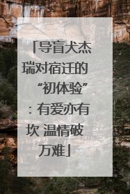 导盲犬杰瑞对宿迁的“初体验”：有爱亦有坎 温情破万难