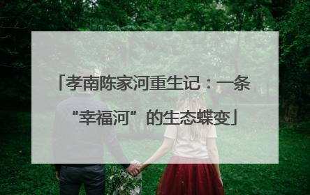 孝南陈家河重生记：一条“幸福河”的生态蝶变