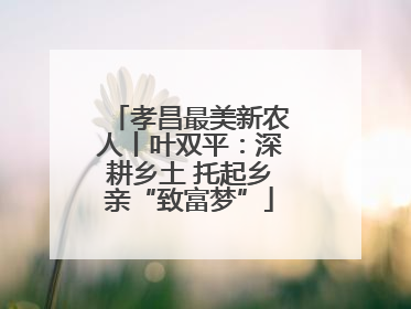 孝昌最美新农人丨叶双平：深耕乡土 托起乡亲“致富梦”
