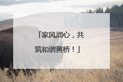 家风润心，共筑和谐黄桥！