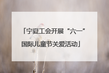 宁夏工会开展“六一”国际儿童节关爱活动
