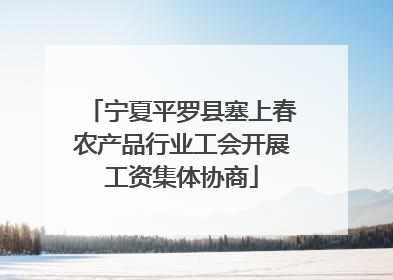 宁夏平罗县塞上春农产品行业工会开展工资集体协商
